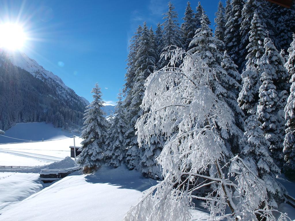 Haus Bergheimat Daire Sankt Leonhard im Pitztal Dış mekan fotoğraf